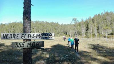 13441980_10153468154500356_826573089_o